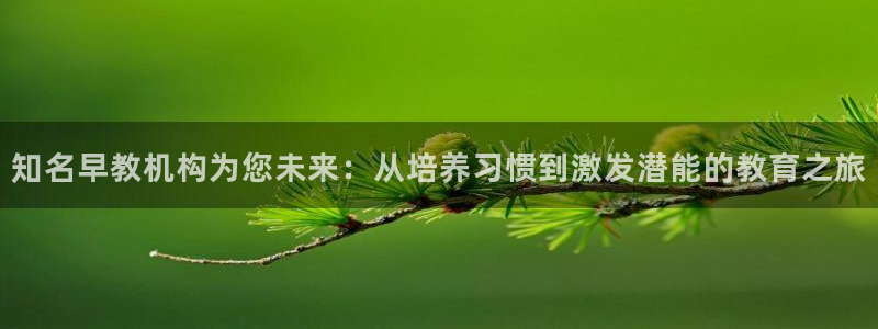 天狮娱乐登入：知名早教机构为您未来：从培养习惯到激发潜能的教育之旅