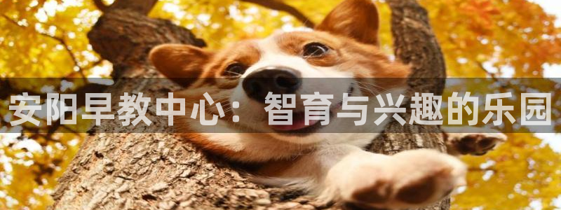 天狮娱乐是黑台子吗：安阳早教中心：智育与兴趣的乐园