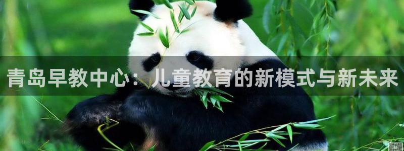 天狮娱乐官网登录地址：青岛早教中心：儿童教育的新模式与新未来