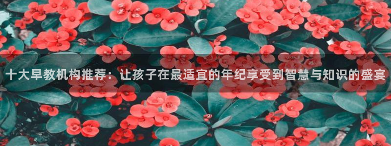 天狮娱乐妞妞：十大早教机构推荐：让孩子在最适宜的年纪享受到智慧与知识的盛宴