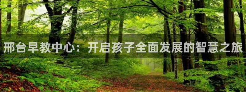 天狮娱乐运营57757：邢台早教中心：开启孩子全面发展的智慧之旅