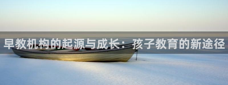 天狮娱乐 amp c主管20476：早教机构的起源与成长：孩子教育的新途径
