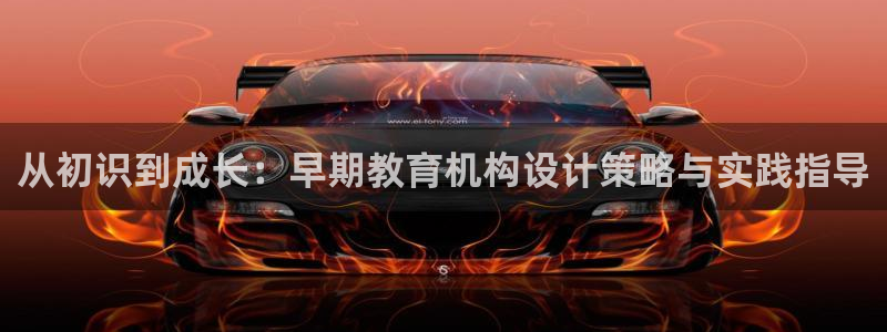 天狮娱乐主管招商：从初识到成长：早期教育机构设计策略与实践指导