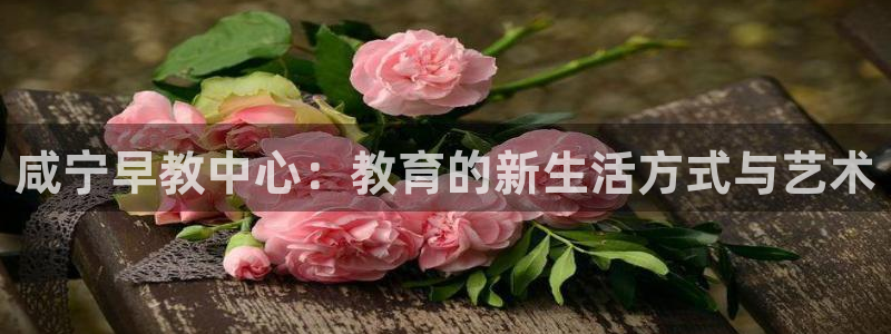 天狮娱乐e招d商98732：咸宁早教中心：教育的新生活方式与艺术