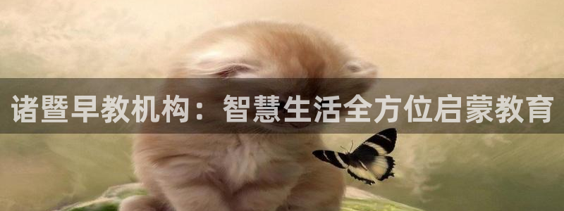 天狮源娱乐平台注册：诸暨早教机构：智慧生活全方位启蒙教育