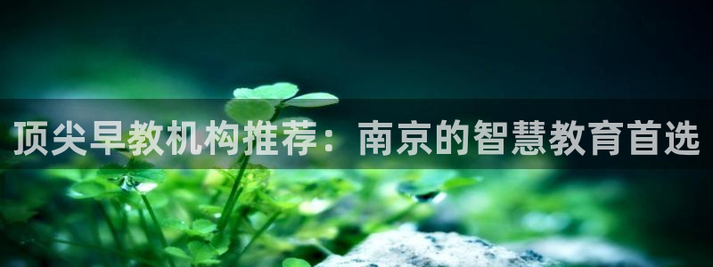 天狮娱乐里：顶尖早教机构推荐：南京的智慧教育首选