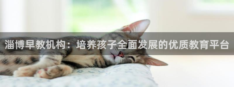 天狮娱乐39096股东：淄博早教机构：培养孩子全面发展的优质教育平台