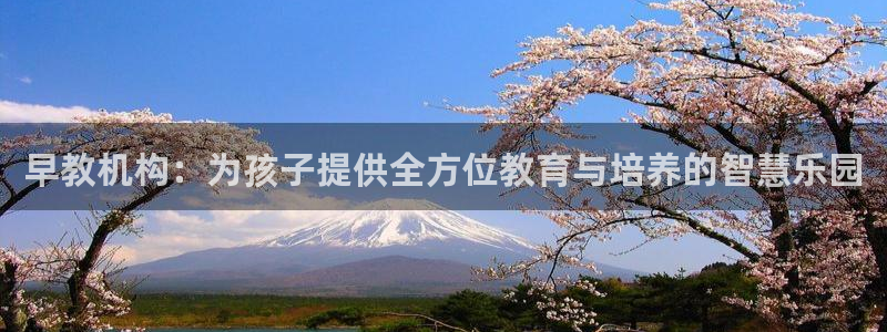 天狮娱乐 a招商67646：早教机构：为孩子提供全方位教育与培养的智慧乐园