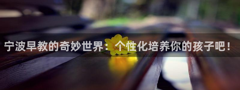 天狮yl娱乐：宁波早教的奇妙世界：个性化培养你的孩子吧！