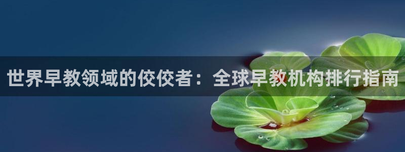 天狮娱乐违法行为：世界早教领域的佼佼者：全球早教机构排行指南