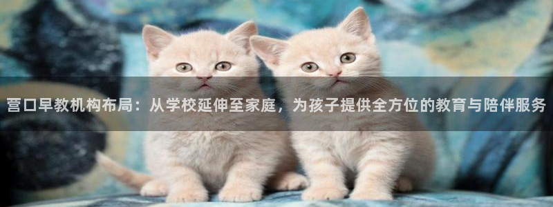 天狮娱乐是正规平台吗：营口早教机构布局：从学校延伸至家庭，为孩子提供全方位的教育