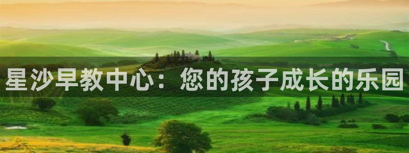 天狮娱乐 官方注册官网：星沙早教中心：您的孩子成长的乐园