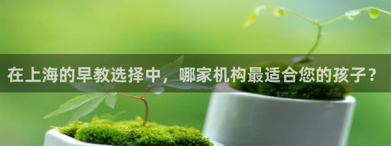 天狮娱乐彩票app：在上海的早教选择中，哪家机构最适合您的孩子？