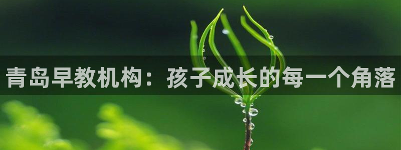 天狮娱乐app下载：青岛早教机构：孩子成长的每一个角落