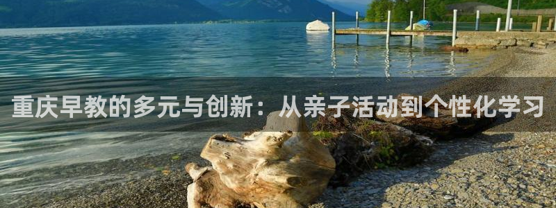 天狮娱乐平台贴吧：重庆早教的多元与创新：从亲子活动到个性化学习