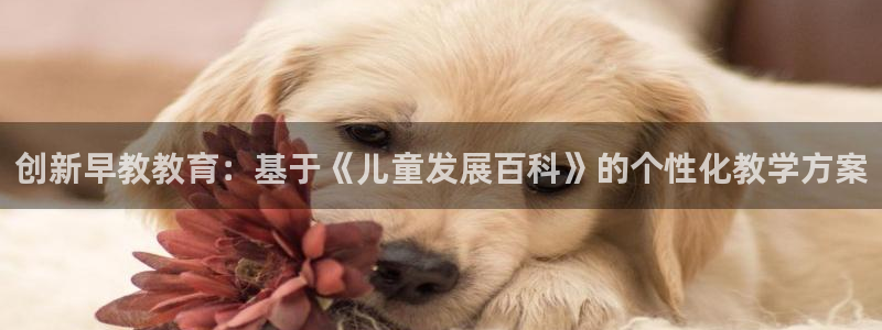 天狮娱乐运营29229：创新早教教育：基于《儿童发展百科》的个性化教学方案