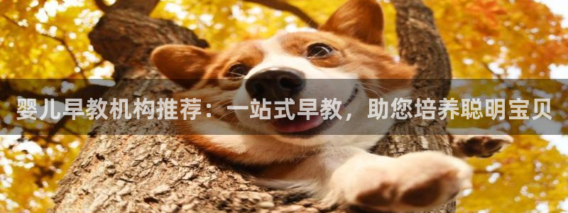 天狮娱乐丶品rd01 vip：婴儿早教机构推荐：一站式早教，助您培养聪明宝贝