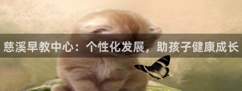 天狮会娱乐会所图片：慈溪早教中心：个性化发展，助孩子健康成长