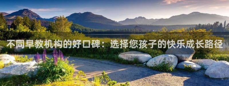狮山天街娱乐圈：不同早教机构的好口碑：选择您孩子的快乐成长路径