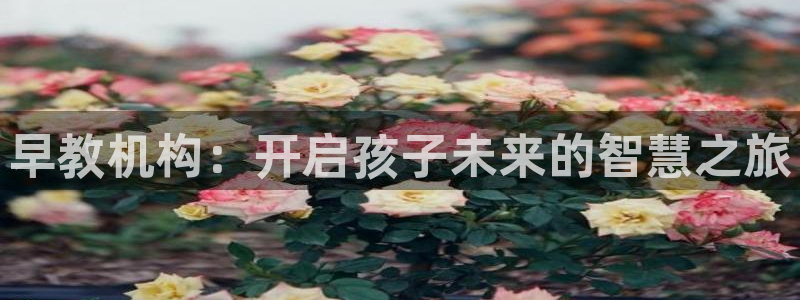 天狮娱乐(主管 )：早教机构：开启孩子未来的智慧之旅