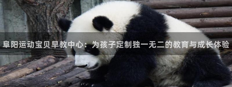 天狮娱乐登录：阜阳运动宝贝早教中心：为孩子定制独一无二的教育与成长体验