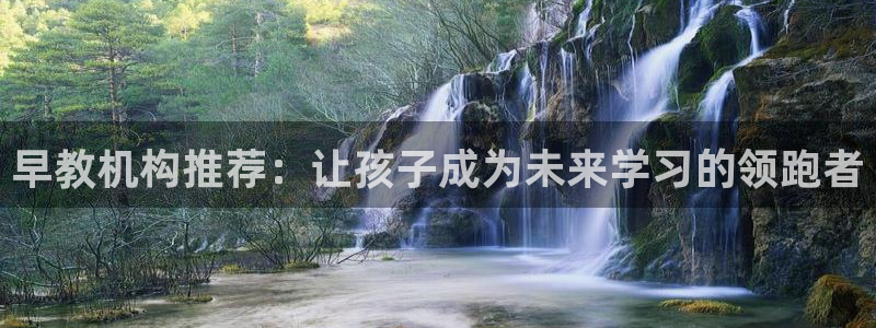 天狮娱乐 a招商98663：早教机构推荐：让孩子成为未来学习的领跑者