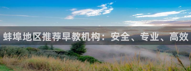 天狮娱乐57661 老x板：蚌埠地区推荐早教机构：安全、专业、高效