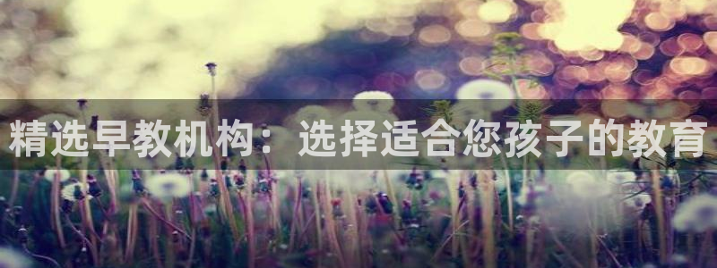 天狮娱乐里：精选早教机构：选择适合您孩子的教育