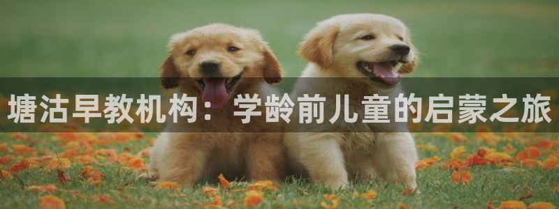 天狮娱乐玩法：塘沽早教机构：学龄前儿童的启蒙之旅