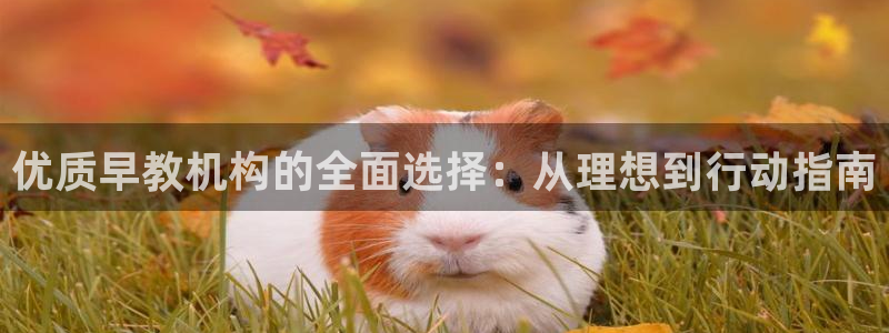 天狮娱乐能赚钱吗：优质早教机构的全面选择：从理想到行动指南