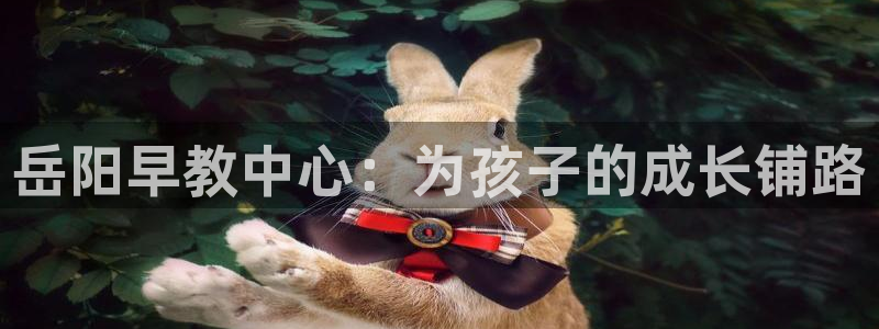 天狮娱乐非法吗：岳阳早教中心：为孩子的成长铺路