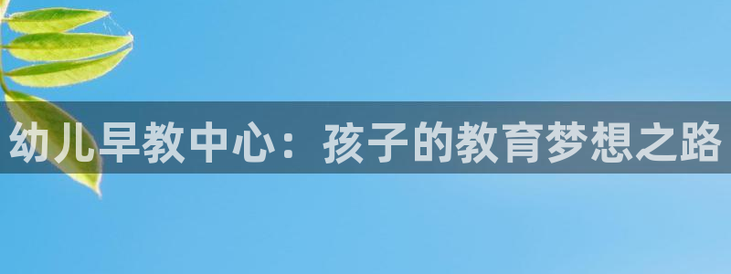 天狮娱乐Q 78139老板：幼儿早教中心：孩子的教育梦想之路