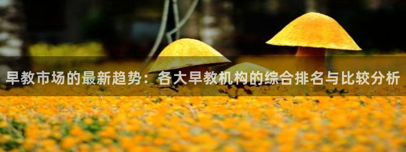 天狮娱乐怎么代理：早教市场的最新趋势：各大早教机构的综合排名与比较分析