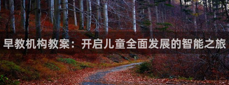 天狮娱乐股东主管：早教机构教案：开启儿童全面发展的智能之旅