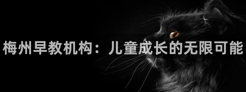 天狮娱乐负:梅州早教机构:儿童成长的无限可能