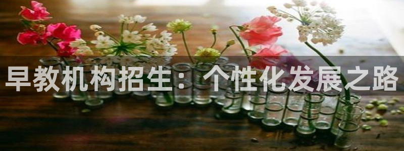 天狮娱乐里：早教机构招生：个性化发展之路