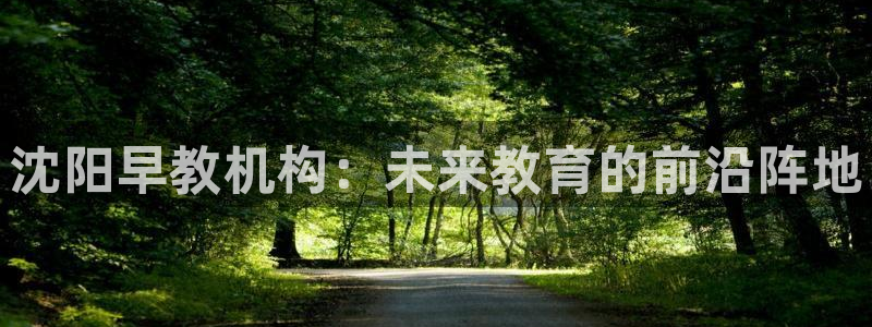 天狮娱乐能赚钱吗：沈阳早教机构：未来教育的前沿阵地