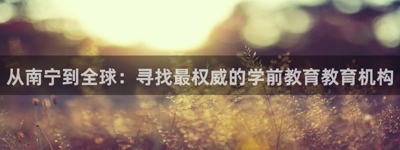 天狮娱乐手机挂机：从南宁到全球：寻找最权威的学前教育教育机构