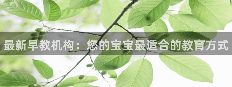 天狮娱乐平台是赌博吗：最新早教机构：您的宝宝最适合的教育方式