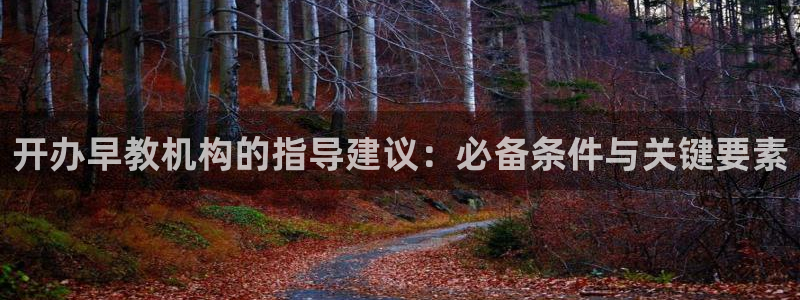 天狮娱乐怎么做:开办早教机构的指导建议:必备条件与关键要素