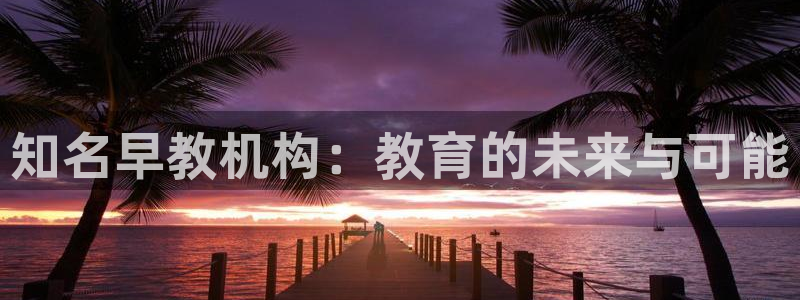 天狮娱乐招商帐7O777：知名早教机构：教育的未来与可能