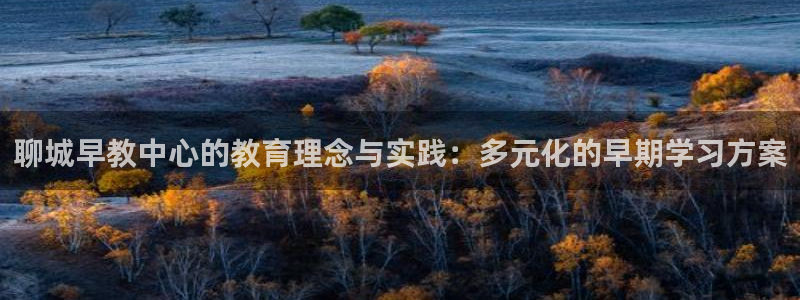 天豪娱乐会所狮山：聊城早教中心的教育理念与实践：多元化的早期学习方案