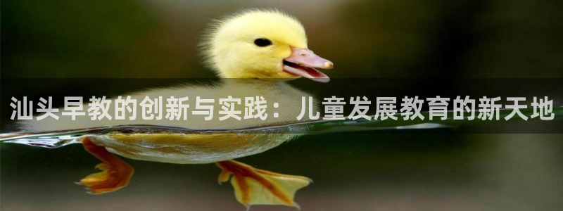 彩票天狮娱乐：汕头早教的创新与实践：儿童发展教育的新天地