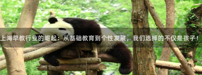 天狮娱乐注册开户：上海早教行业的崛起：从基础教育到个性发展，我们选择的不仅是孩子