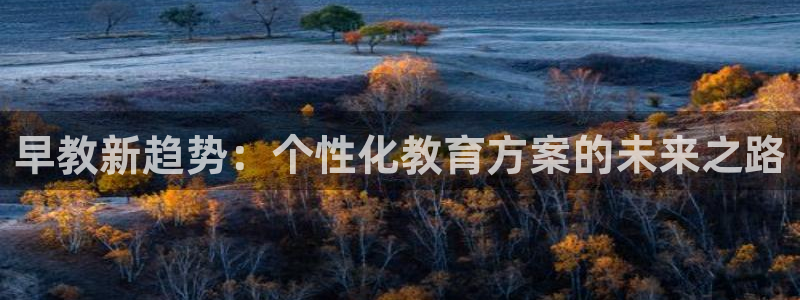 财富娱乐会所天狮:早教新趋势:个性化教育方案的未来之路
