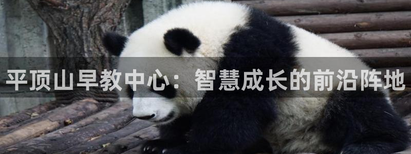 天狮娱乐最新版本：平顶山早教中心：智慧成长的前沿阵地