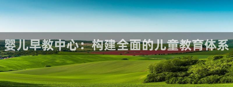 天狮娱乐 官方网站：婴儿早教中心：构建全面的儿童教育体系