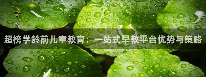 天狮娱乐彩票平台：超榜学龄前儿童教育：一站式早教平台优势与策略