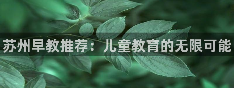 天狮娱乐 a内部29229：苏州早教推荐：儿童教育的无限可能