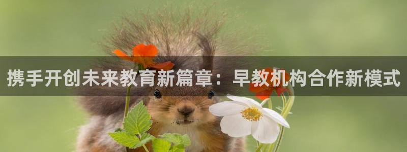 天狮娱乐指尖年：携手开创未来教育新篇章：早教机构合作新模式